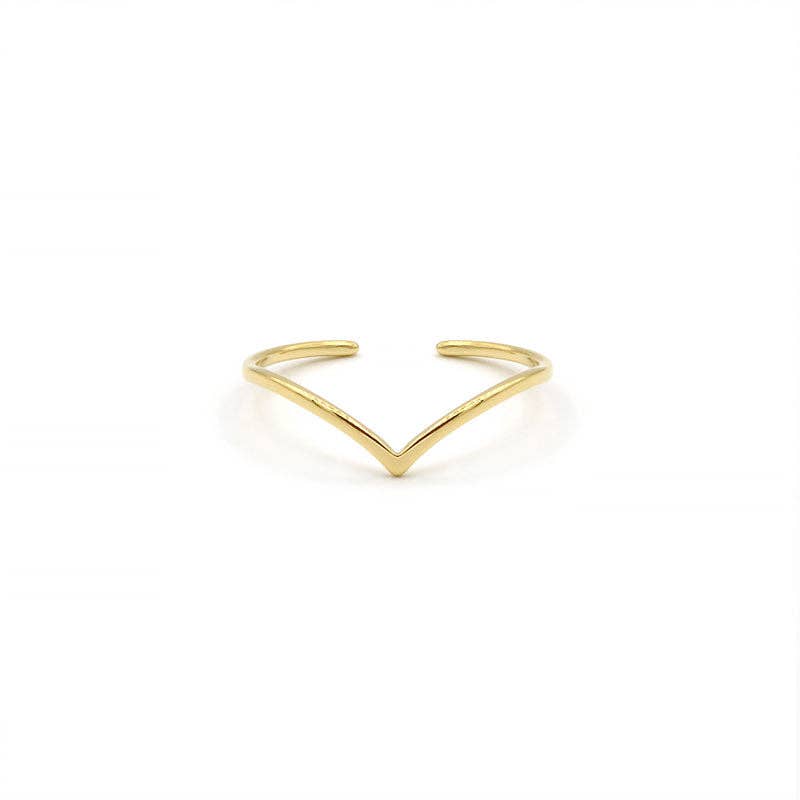 Bague « Souhaits » | Acier inoxydable gris ou doré